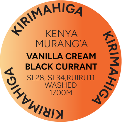 Wholesale Sample Coffees