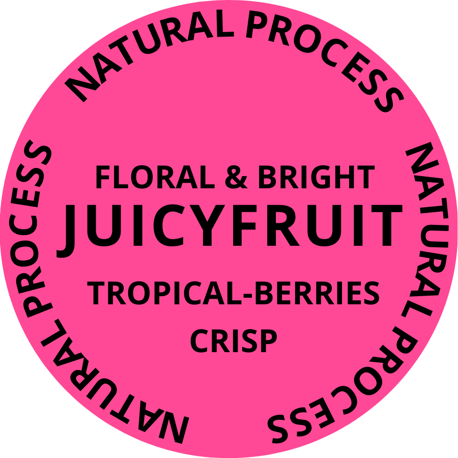 Wholesale Sample Coffees