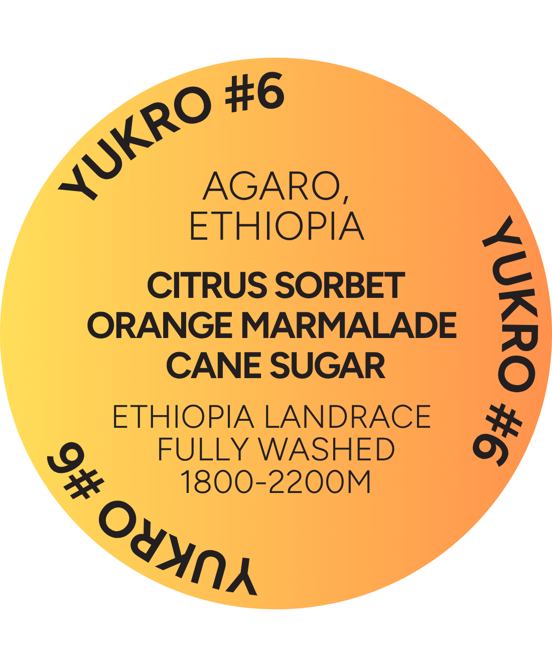 ETHIOPIA - Yukro #6 Washed