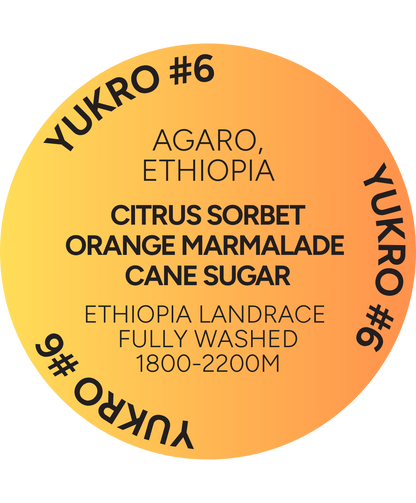 ETHIOPIA - Yukro #6 Washed
