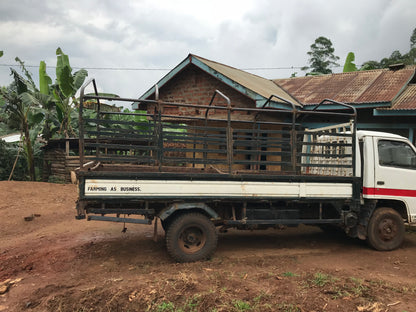 UGANDA - Imbalu Natural